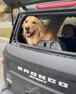 Why The 2023 Ford Bronco Sport Is The Best Pet-Friendly SUV On The Market